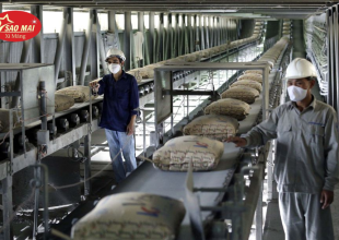 thi-truong-xi-mang-nam-2024-goc-nhin-toan-canh-va-trien-vong-tuong-lai